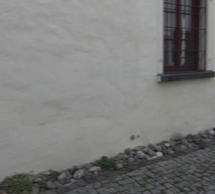 Stefanushaus mit Apothekergarten