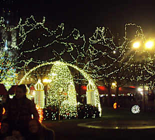 Vánoční strom na Staroměstském náměstí v Praze