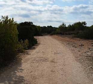 Unterwegs die Aussicht