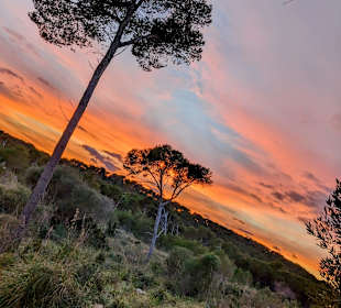Wandern Cala Ratjada