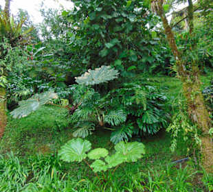 La Paz Waterfall Gardens