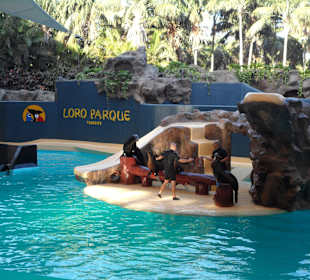 Loro Parque 