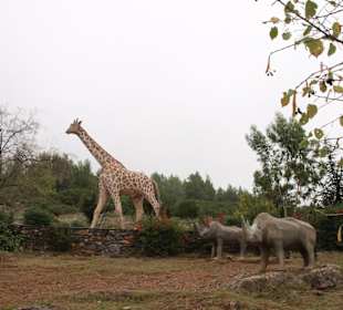 Museum von Petralona