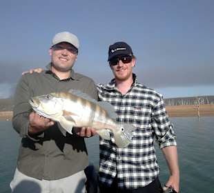 2 Erfolgreiche Teammitglieder mit schönen Peacock 