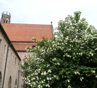 Besuch des Augustinerklosters in Erfuhrt