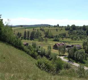 Burg Kräheneck Reusten
