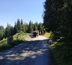 Wandern zum Ponyhof