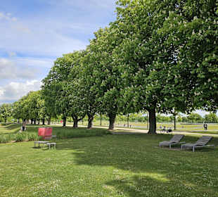 Wileypark mit Liegen