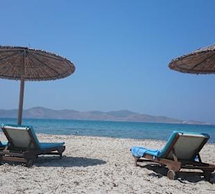 Strandabschnitt: Barracuda - Beach