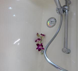 Emirates Airbus A 380, Dusche der First Class