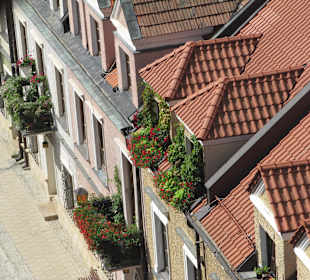 Widok z wieży widokowej Bramy Opatowskiej