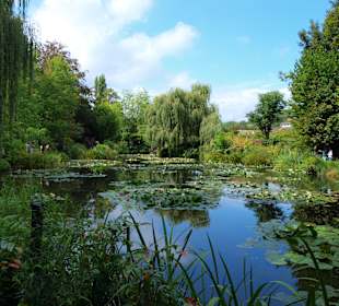 Staw - ogród Moneta