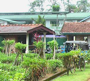 Zufahrt zur Teefabrik