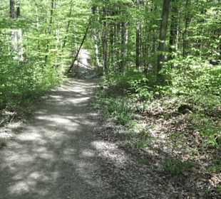 Wanderweg Hochgehwachsen