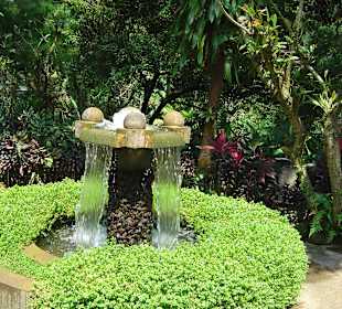 Botanischer Garten Singapur 