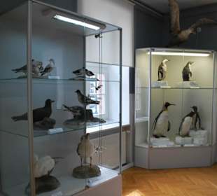 Muzeum Rybołówstwa Morskiego