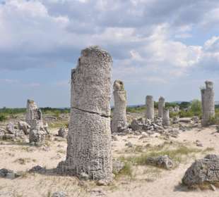 Stone Forest