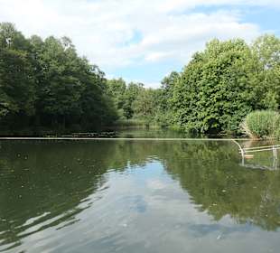 In Sennfeld beim Dorfsee (Badesee)