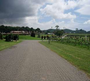Auf der fahrt durch den Park