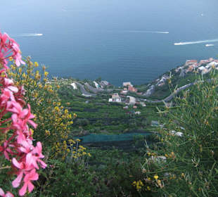Aussicht