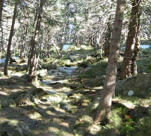 Karkonoski Park Narodowy