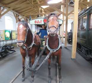Im Museum des öffentlichen Peronennahverkehrs