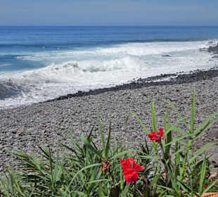 Am Strand der Fajã dos Padres