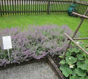 Insel Reichenau Münster Kräutergarten