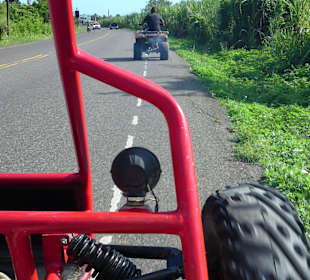 Buggy-Tour