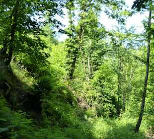 Zum Glück viel Schatten