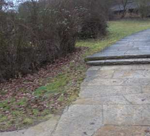 Friedhof "Neue Wiesen" Pliezhausen