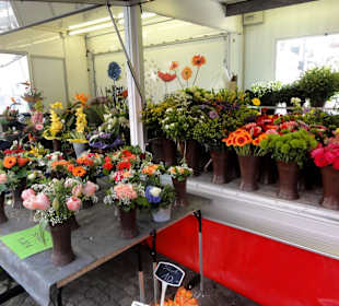 Blumenhändler auf dem Delmemarkt