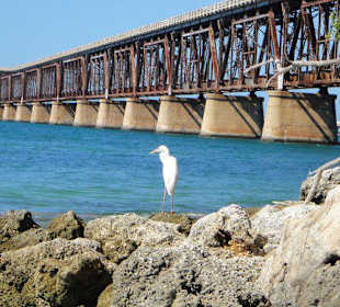 Bahia Honda