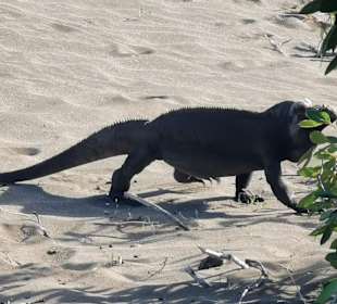 Nationalpark Parque Nacional del Este