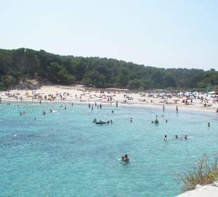 Cala