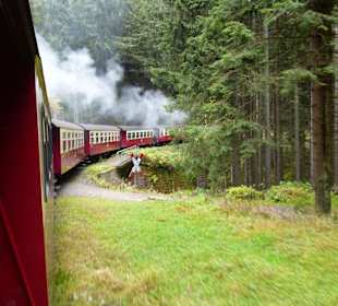 Den Berg hinauf (Brocken)