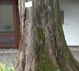 Kneipp Anlage Kressbronn