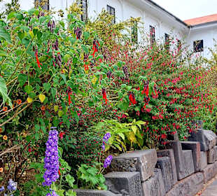 Iglesia y Convento Santo Domingo Qorikancha
