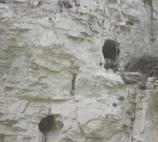 Höhlen mit den hängenden Särgen