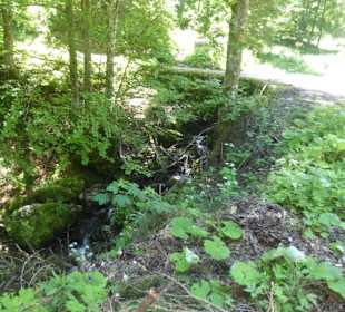 Valepper-Almen-Rundwanderung