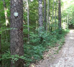 Waldlehrpfad in Tieringen