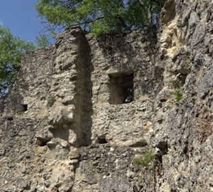 Burgruine Niederhaus