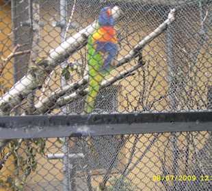 Urokliwe krakowskie ZOO.