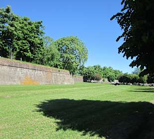 Stadtmauer Lucca