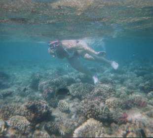 Mondo marino di fronte all'hotel