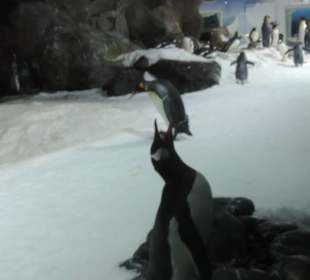 Besonders die Kinder hatten viel Spaß