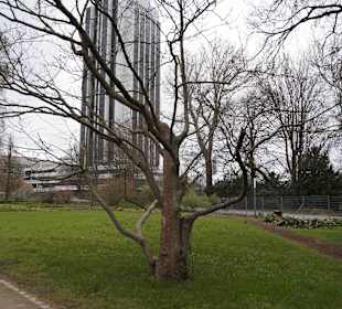 Anlage Planten un Blomen