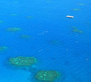 Blick auf das Reef