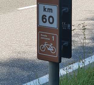 Wanderung via Alpina Bozen-Jenesien-Meran 2000