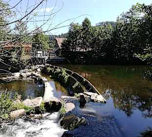 Rundwanderweg Baiersbronn